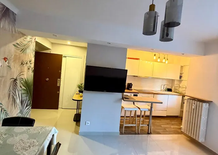 Azur One - Centre De Apartamento Niza